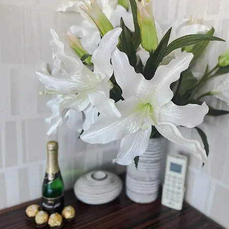 Lupacova Appartement Praag