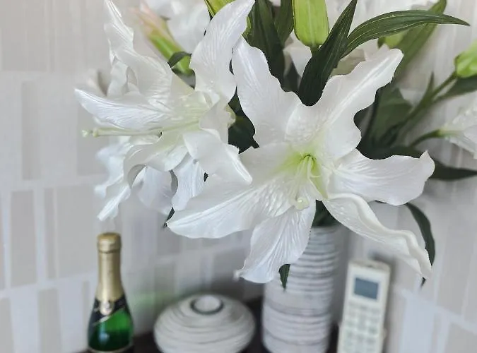 Lupacova Apartman Prága