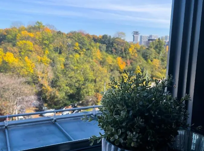 Apartman Lupacova *