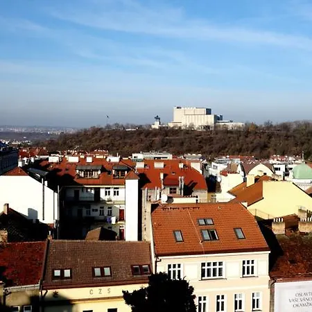 Lupacova *